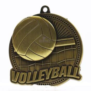 Vibentis Volleyball Gold Medal