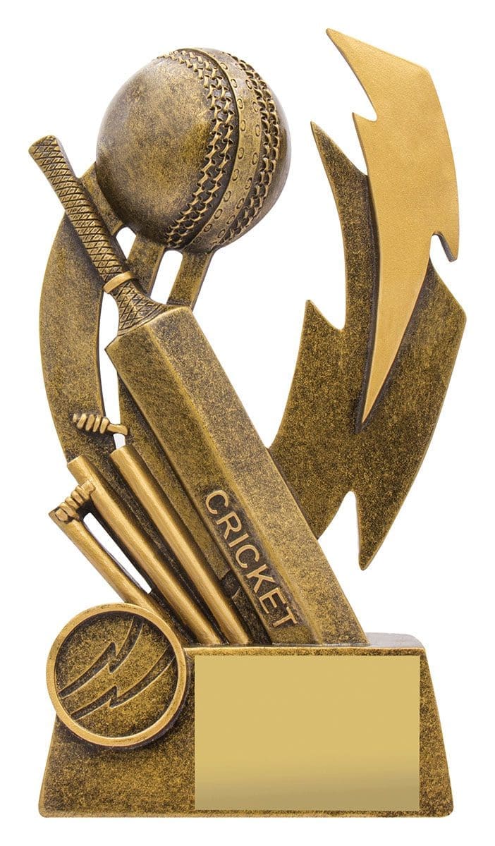 Electrify Cricket Trophy - Image 2
