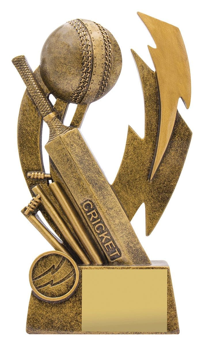 Electrify Cricket Trophy - Image 3