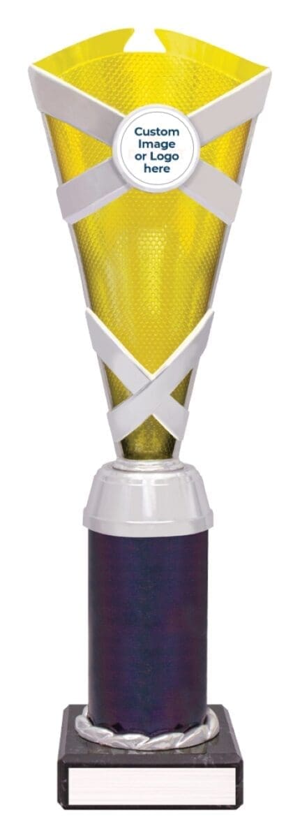 Specstar Gold Silver Cup Trophy - Image 4