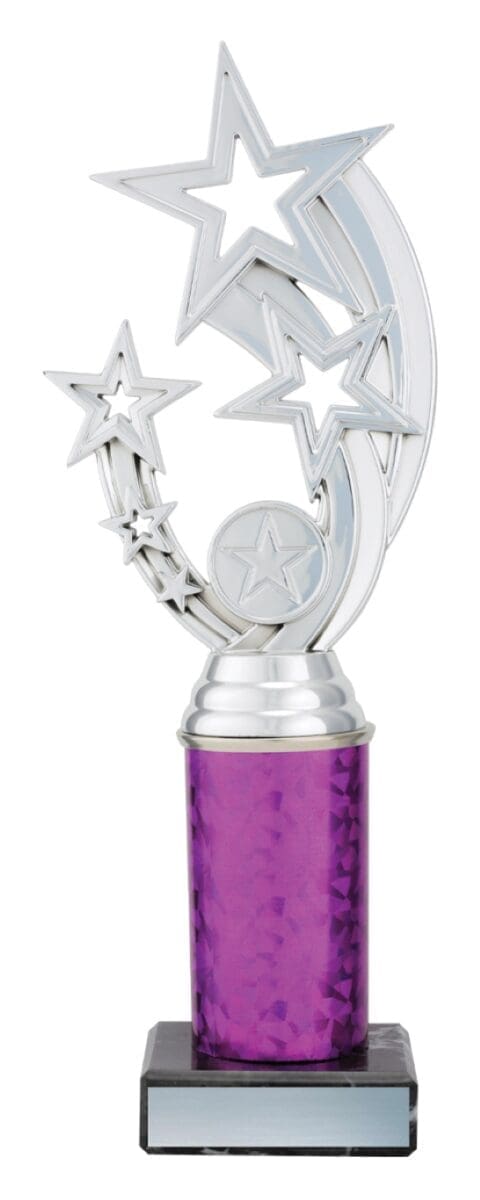 Starestia Silver Trophy - Image 2