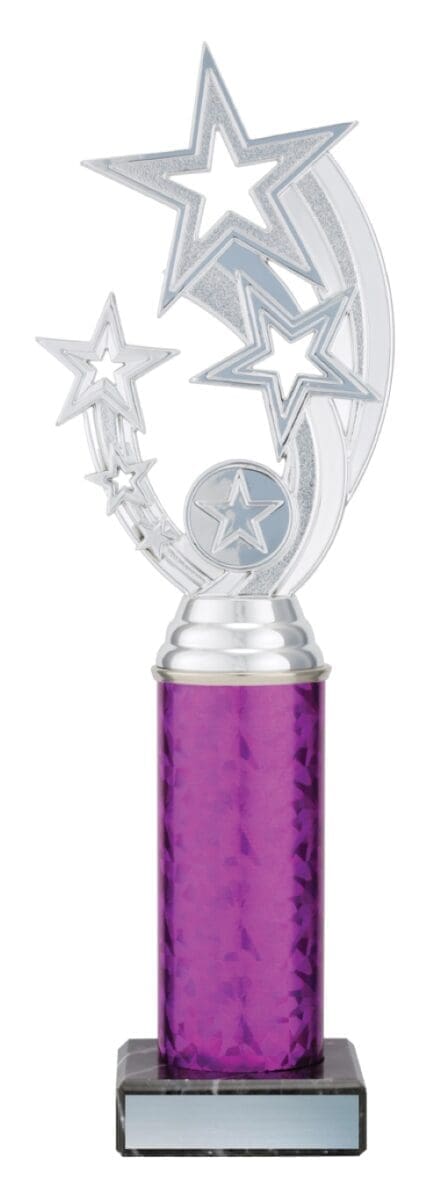 Starestia Silver Trophy - Image 3