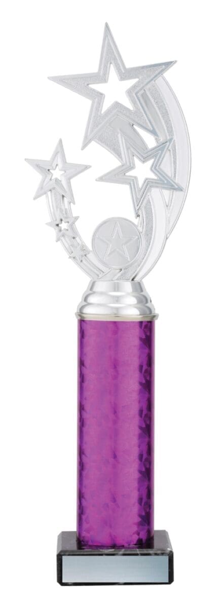 Starestia Silver Trophy - Image 4
