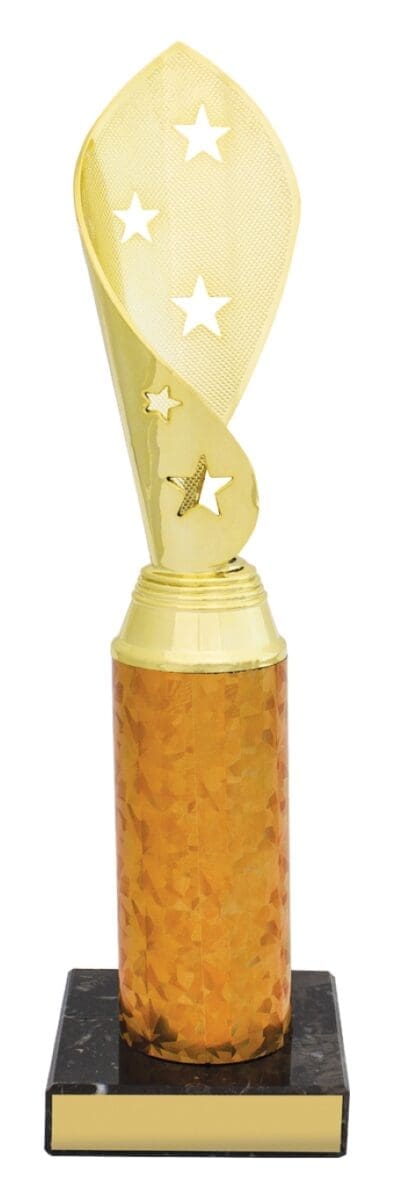 Joyfest Gold Cup - Image 4