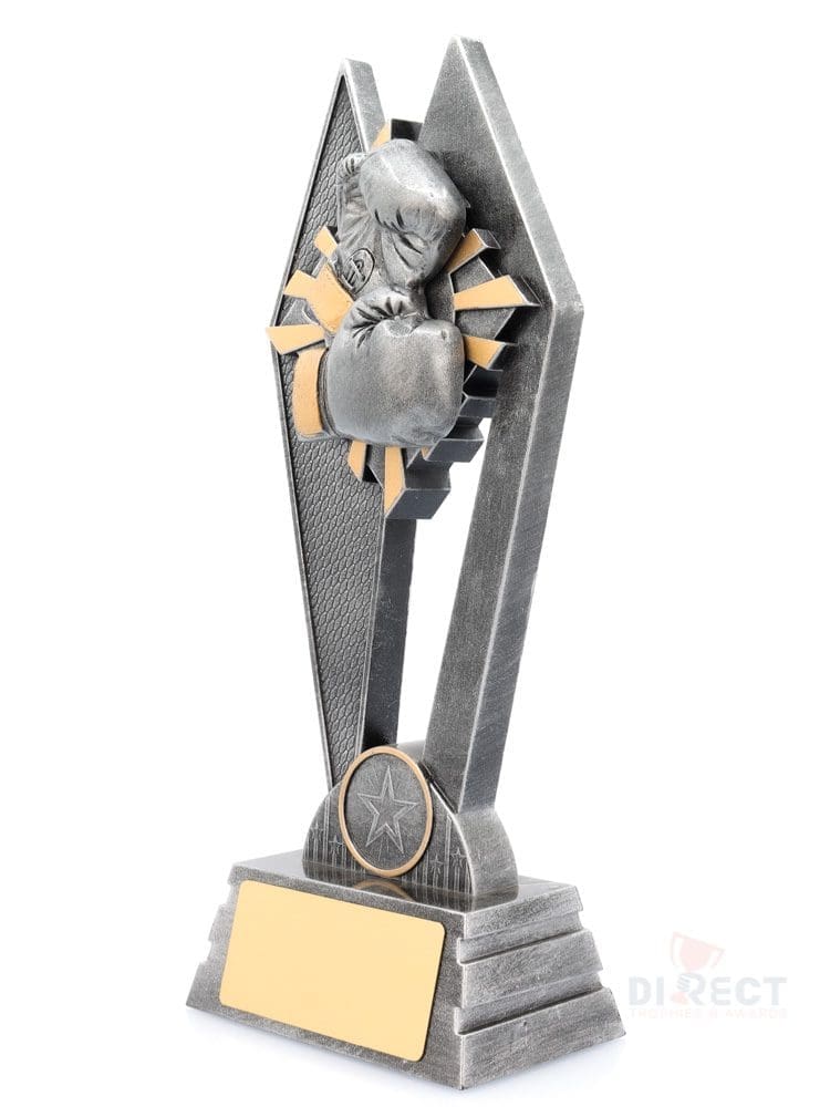 Peak Boxing - Image 2