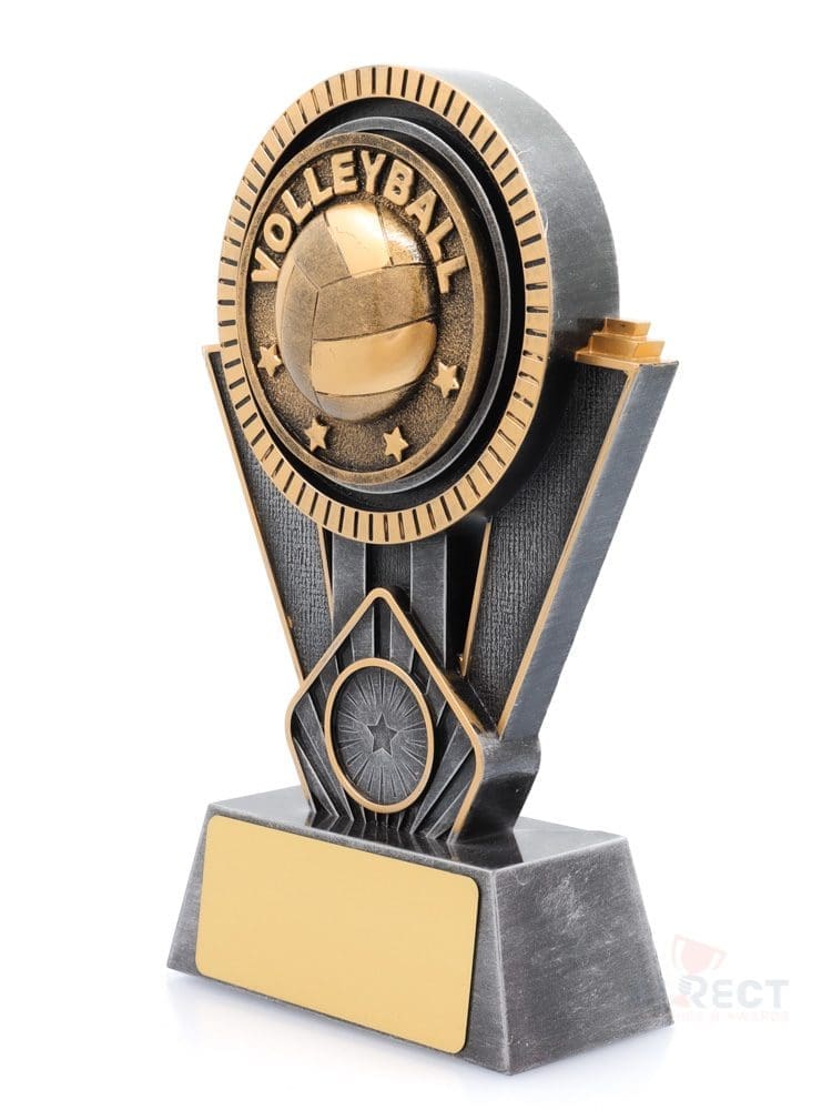 Spartan Volleyball - Image 2