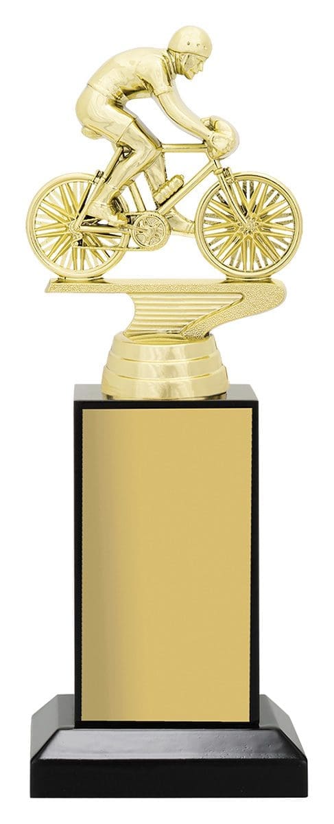 Cycling Estrade Gold Trophy - Image 3