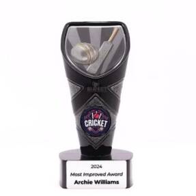 Viper Cricket Trophy