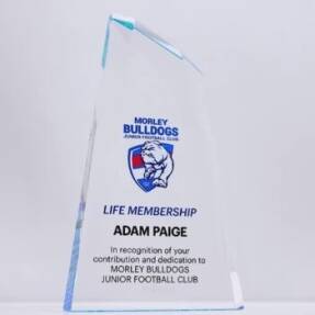 Torgo Acrylic Blue Colour Trophy