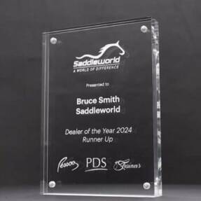 Acrylic Sabrix Block Trophy