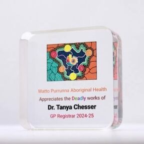 Acrylic Colour Paperweight Trophy