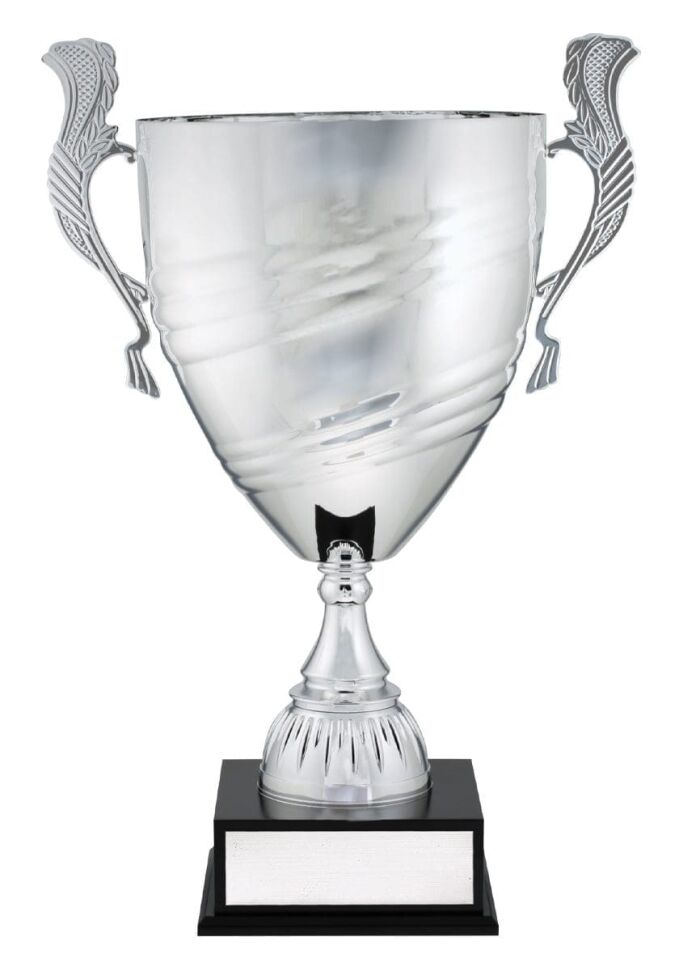 Eminence Premium Silver Cup - Image 4