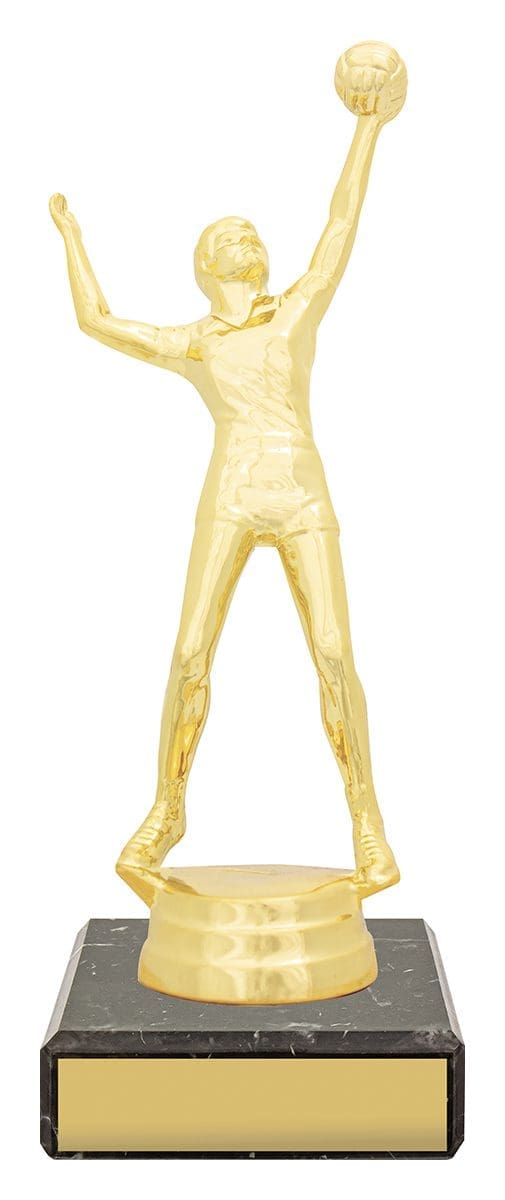 Male Volleyball Figure Trophy