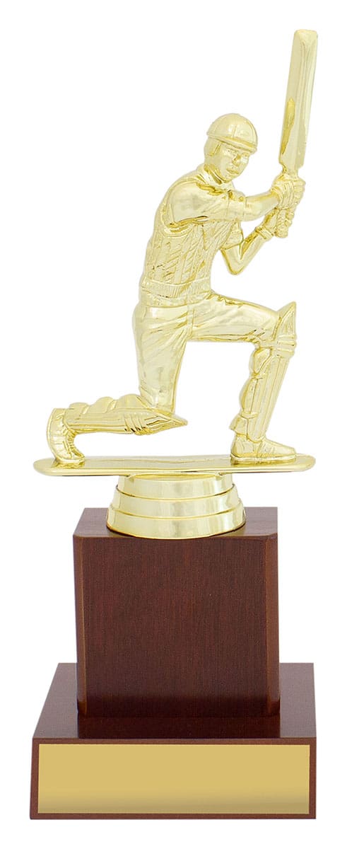 Colossus Cricket Player Trophy