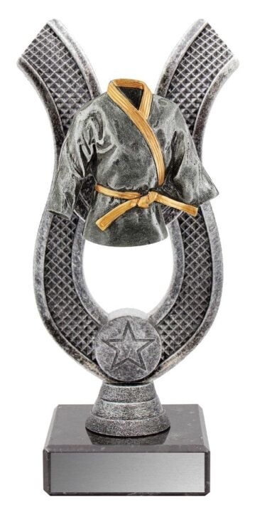 Anchor Marital Arts Trophy