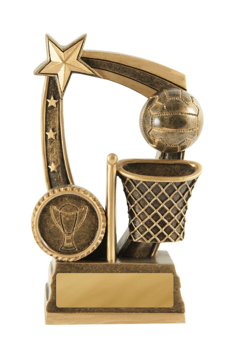 Maverick Netball Trophy