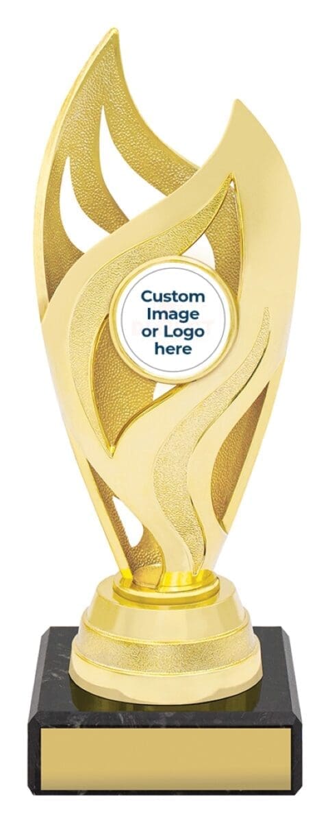 Oracle Gold Silver Trophy