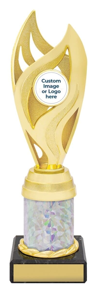 Oracle Gold Silver Trophy - Image 3