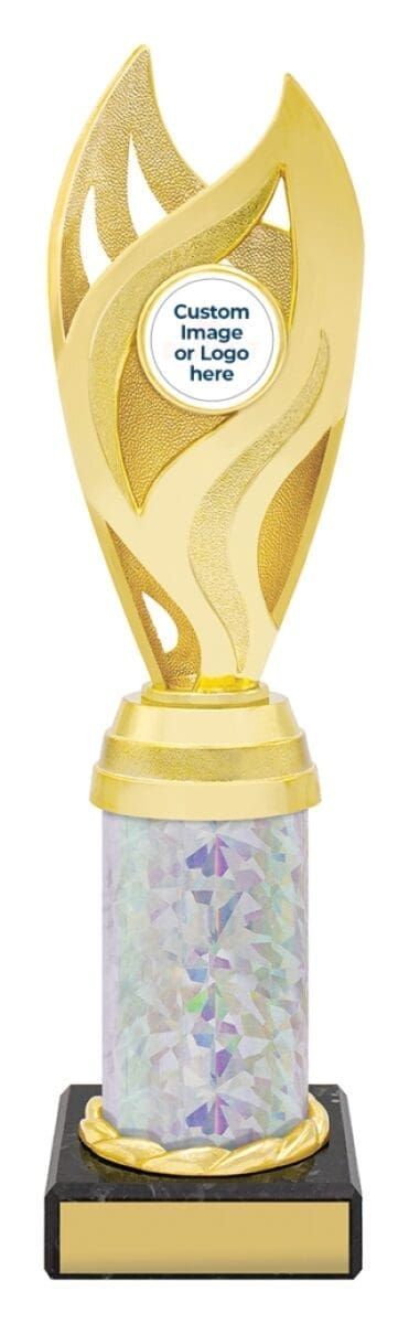 Oracle Gold Silver Trophy - Image 4