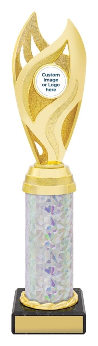 Oracle Gold Silver Trophy - Image 5