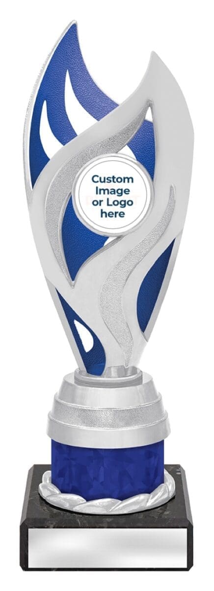 Oracle Blue Silver Trophy - Image 2