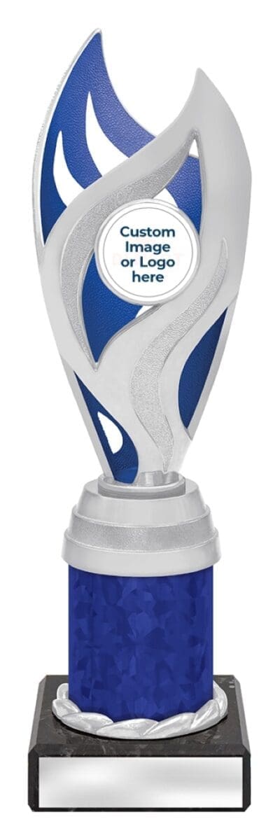 Oracle Blue Silver Trophy - Image 3