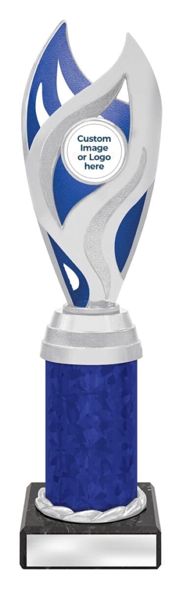 Oracle Blue Silver Trophy - Image 4