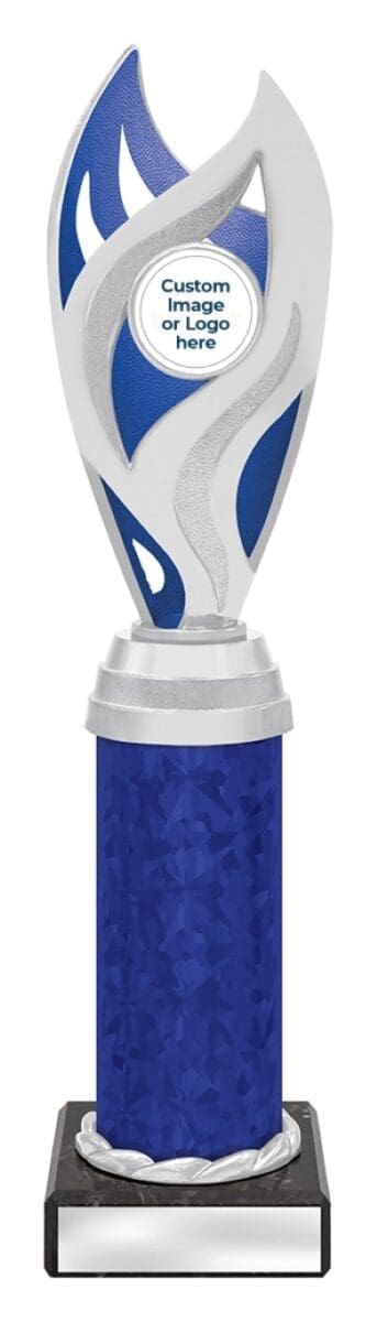 Oracle Blue Silver Trophy - Image 5