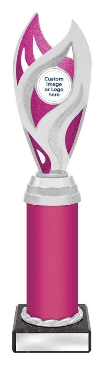Oracle Silver Pink Trophy - Image 5