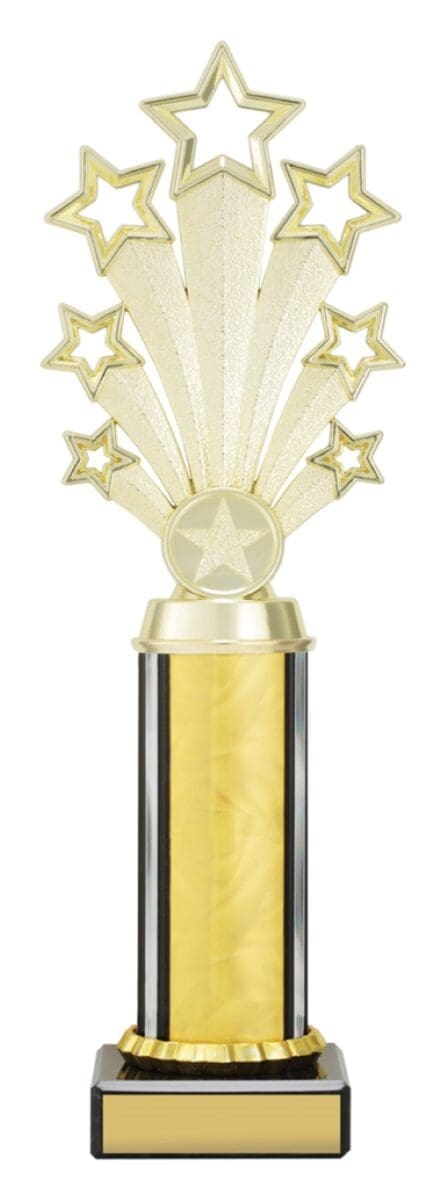 Twlightstar Gold Trophy - Image 3