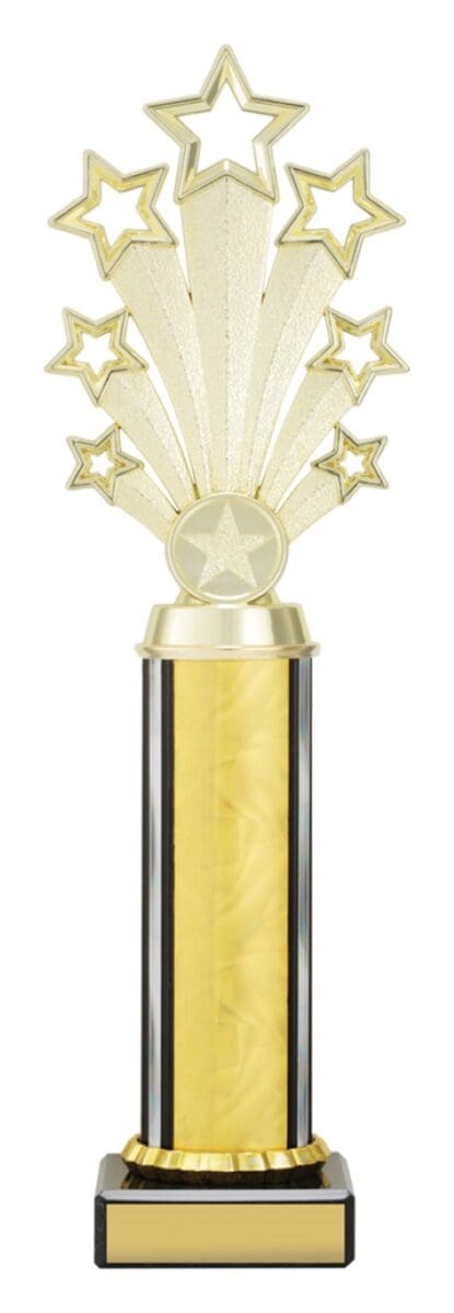 Twlightstar Gold Trophy - Image 4