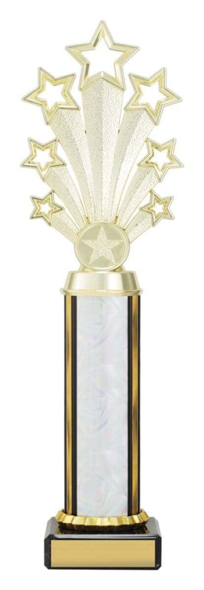 Twlightstar Silver Trophy - Image 4
