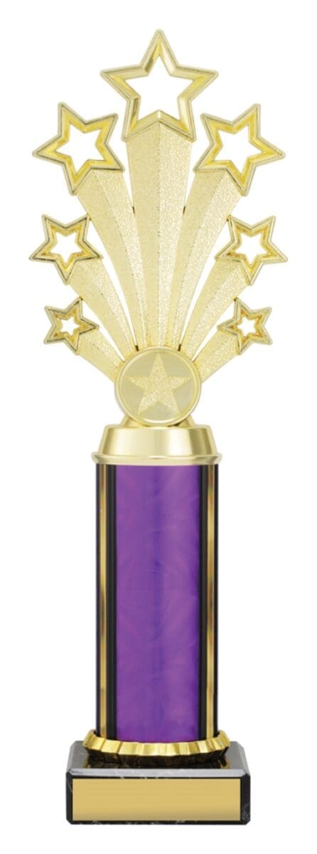 Twlightstar Purple Trophy - Image 3