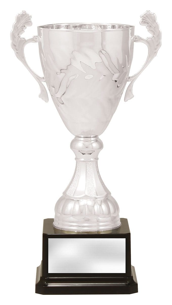 Engenia Silver Cup - Image 2
