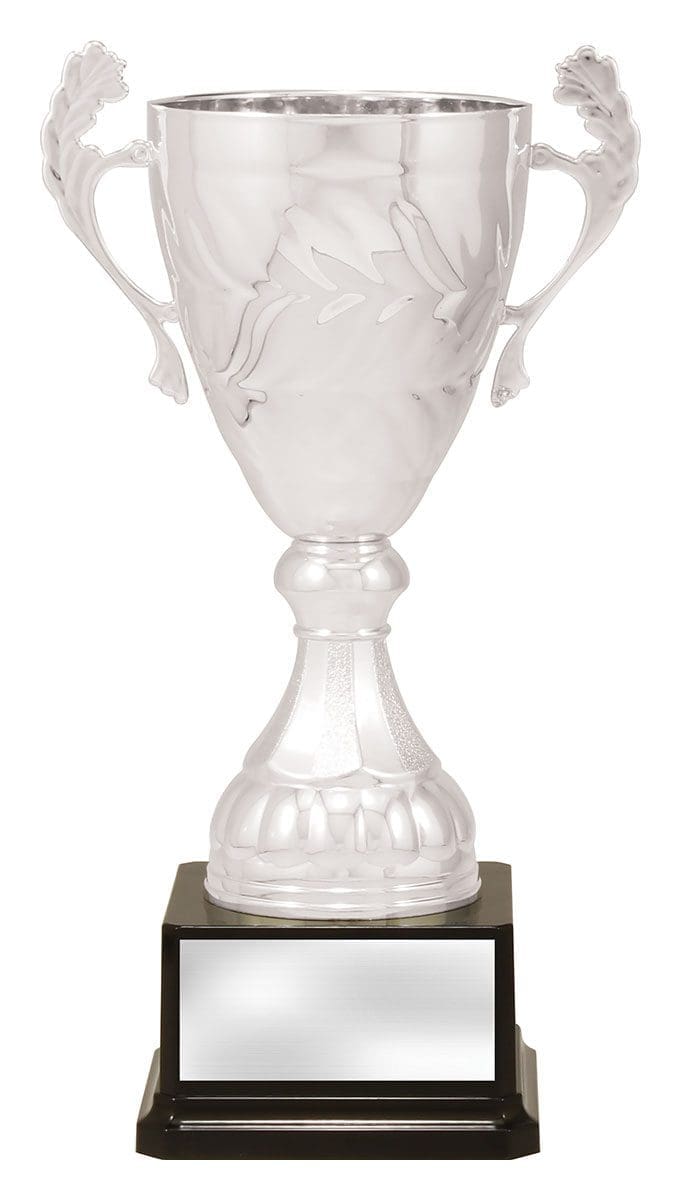 Engenia Silver Cup - Image 3