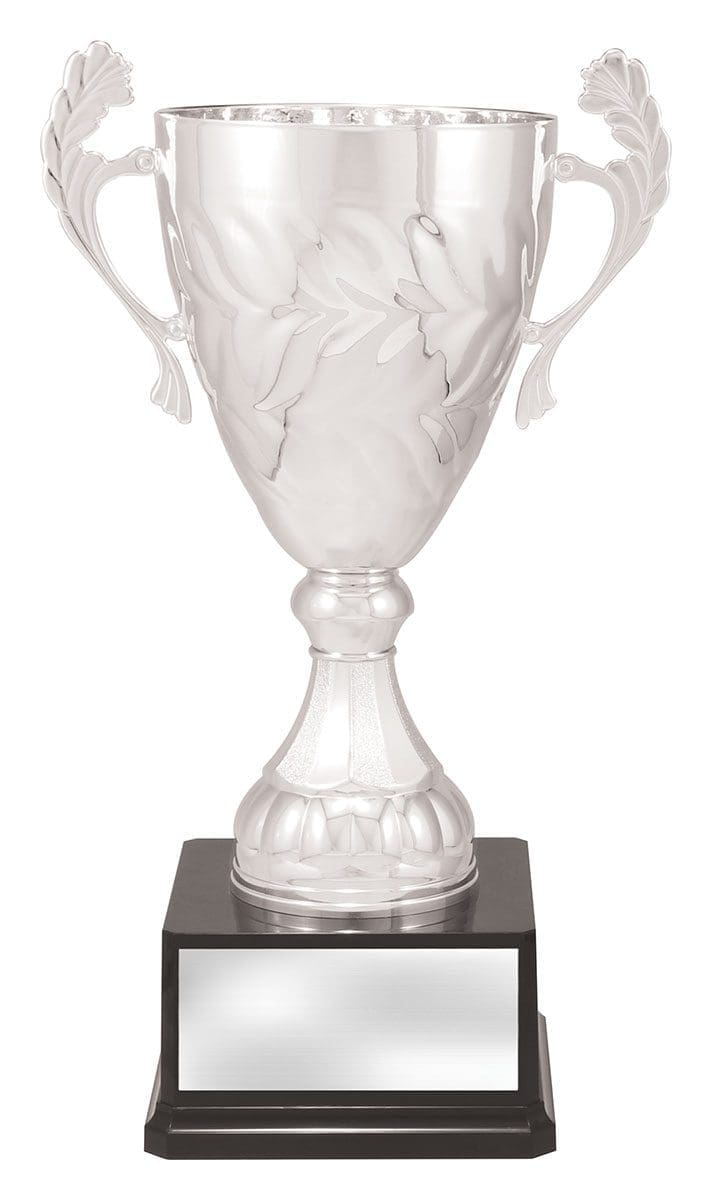 Engenia Silver Cup - Image 6