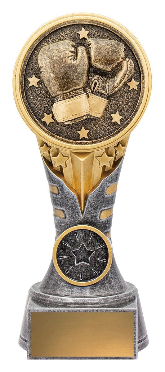 IKON Boxing Trophy - Image 2