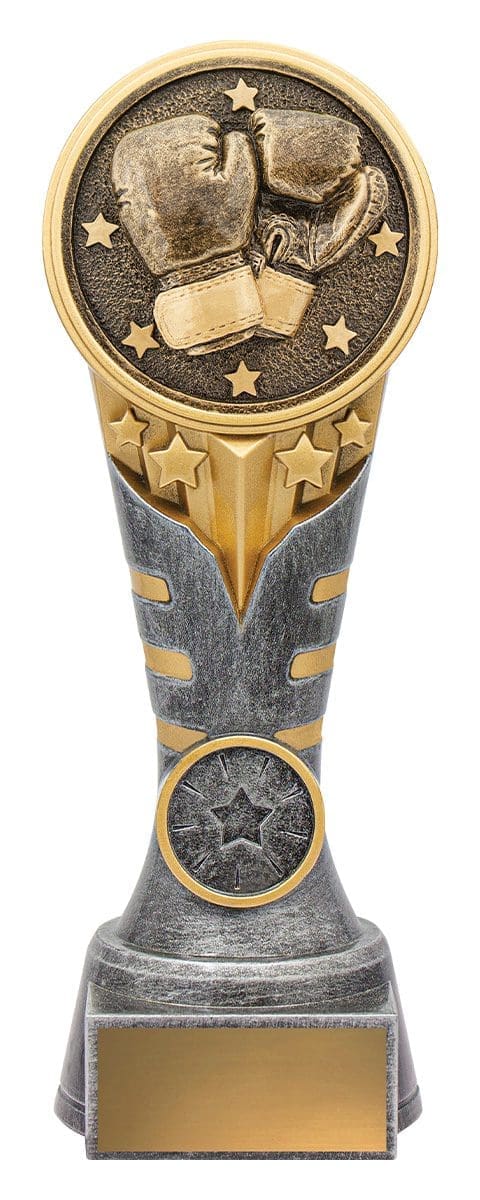 IKON Boxing Trophy - Image 3
