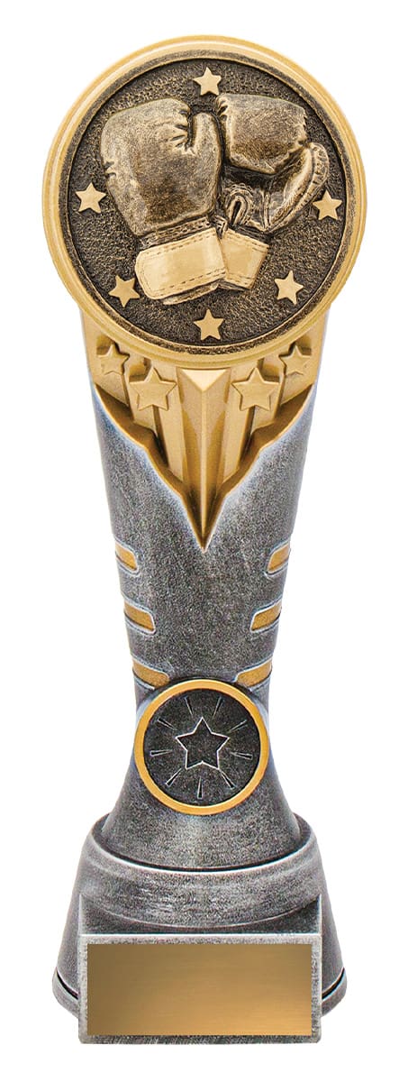 IKON Boxing Trophy - Image 4